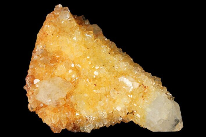 Sunshine Cactus Quartz Crystal - South Africa #122345